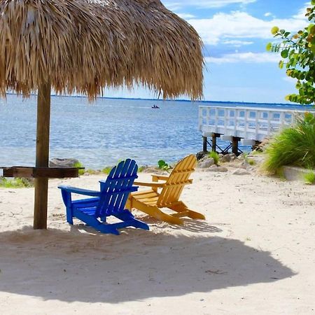 Sunset Paradise - Find Yourself In Tampa Exteriör bild