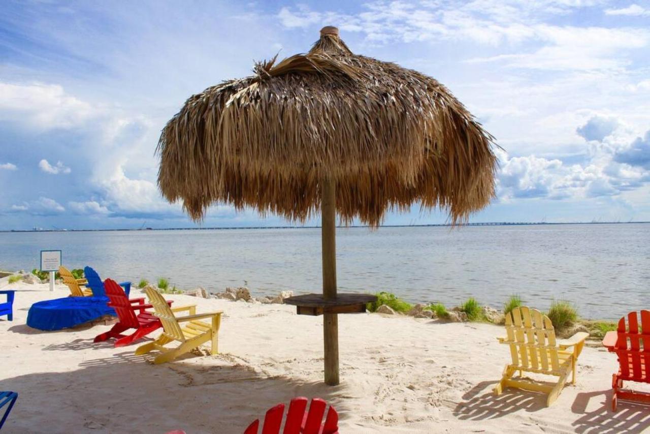 Sunset Paradise - Find Yourself In Tampa Exteriör bild